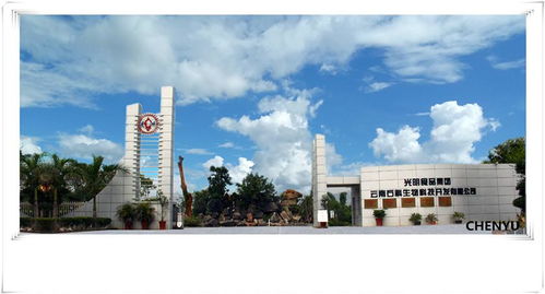 光明食品集團(tuán)云南石斛生物科技開發(fā)與生物技術(shù)開發(fā)服務(wù)